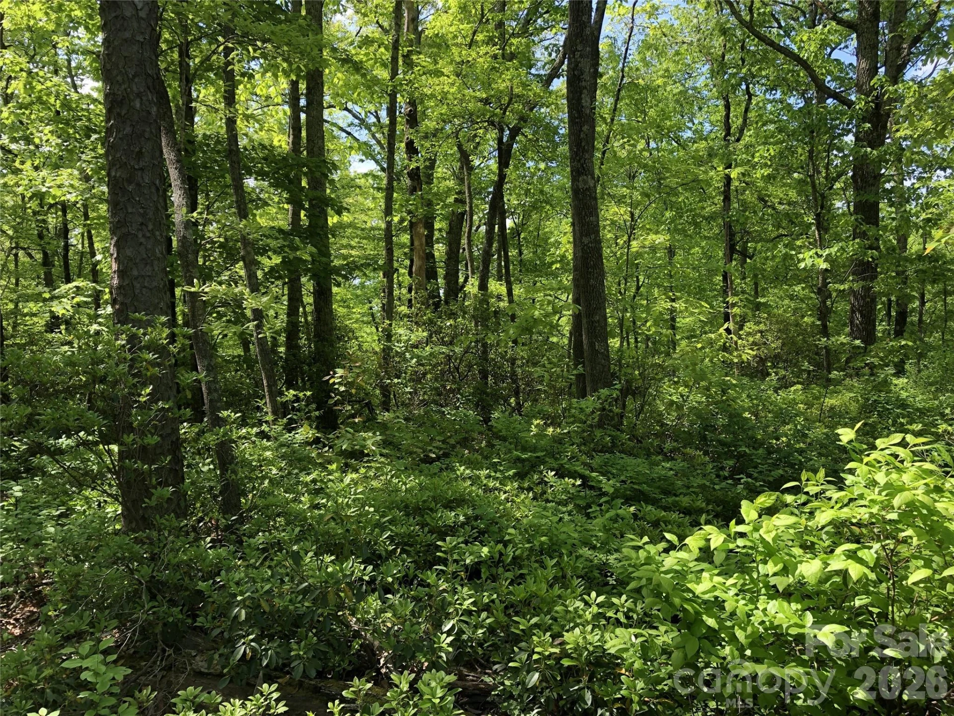0 Millard Crossing #15 - Photo 2