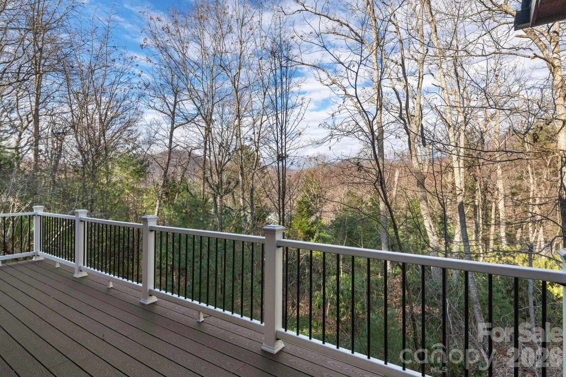 125 Buffalo Trail - Photo 8