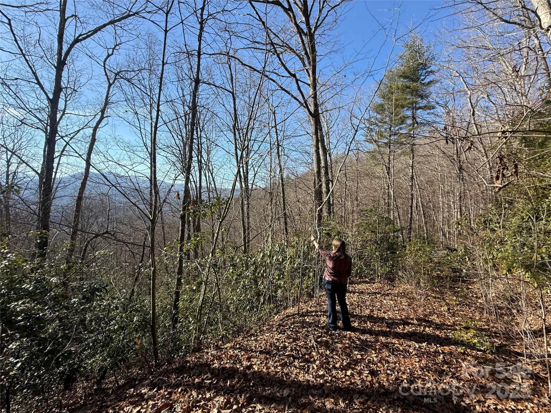 Lot 27 Bernies Trail #27 - Photo 2