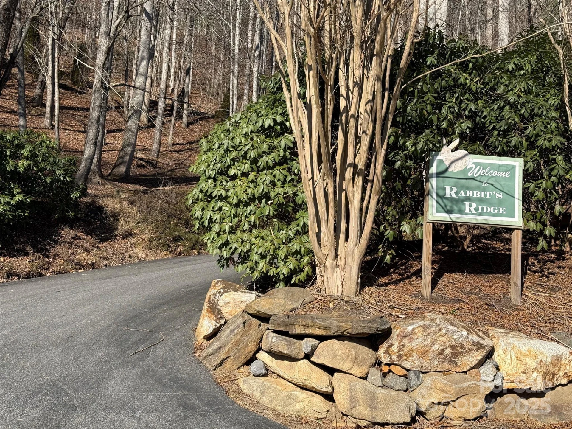 Lot 27 Bernies Trail #27 - Photo 6