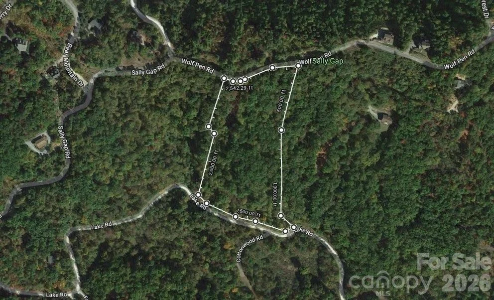 100 Wolf Pen Road - Photo 2