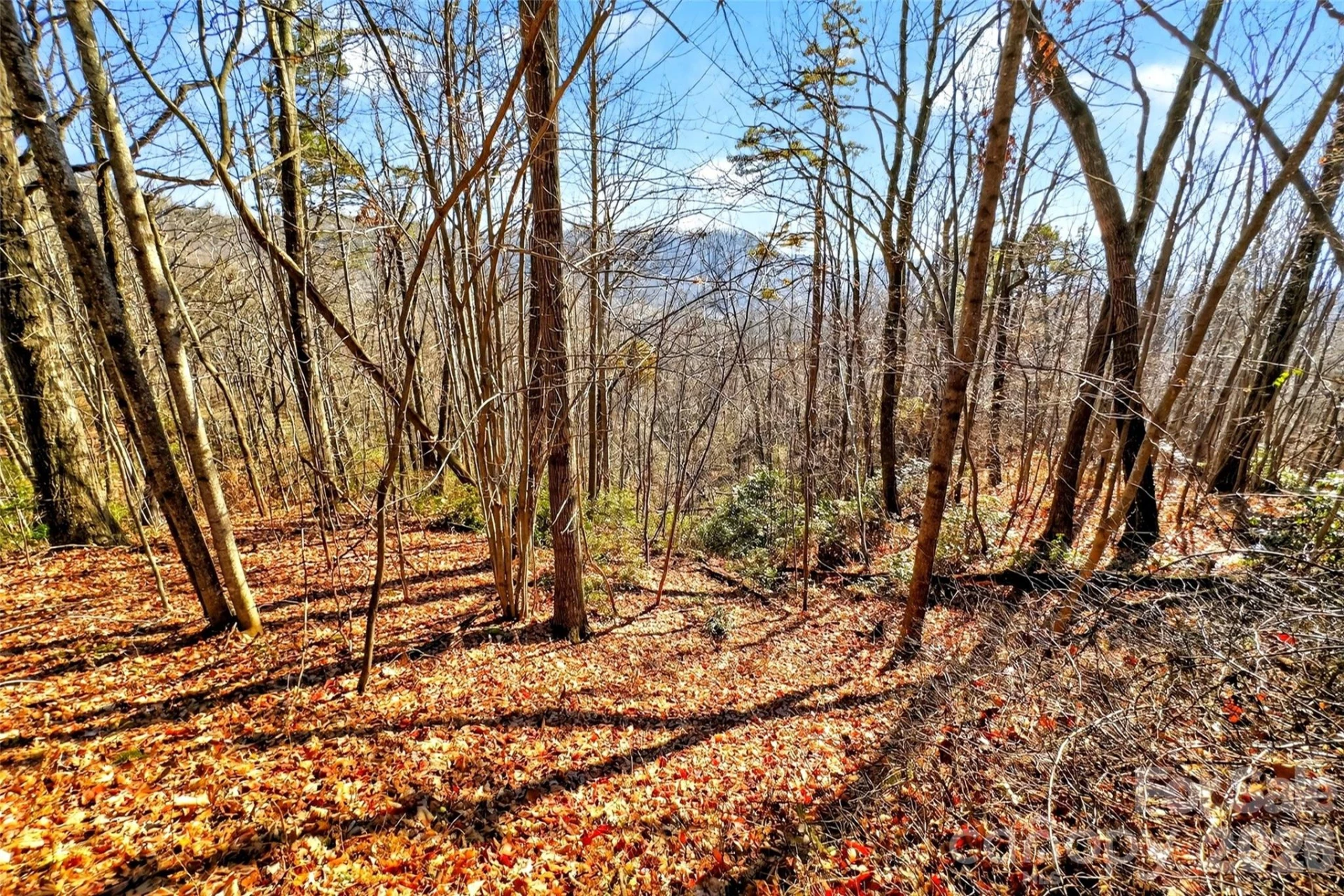 100 Wolf Pen Road - Photo 15