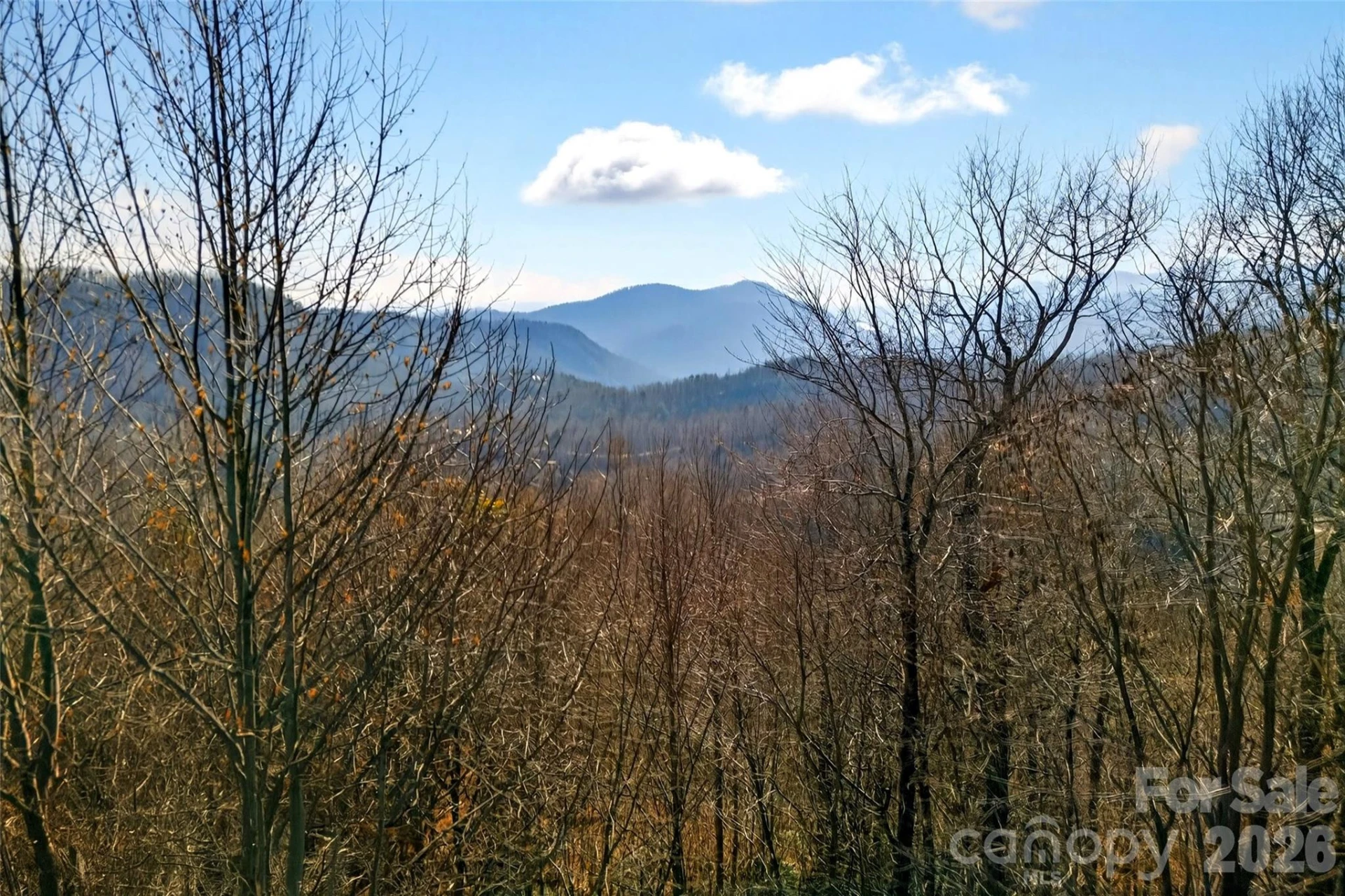 100 Wolf Pen Road - Photo 29