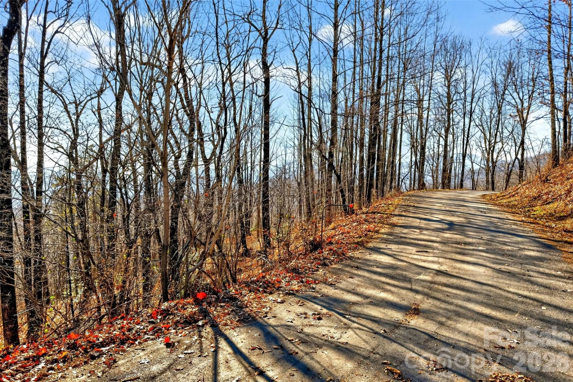 100 Wolf Pen Road - Photo 8