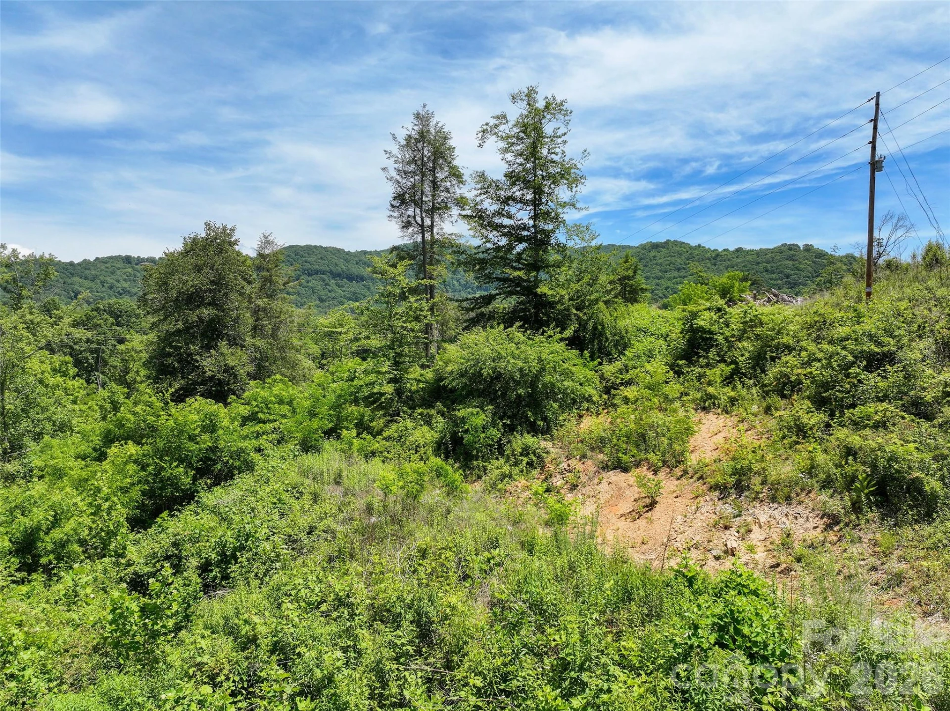 347 Richland Creek Road - Photo 14