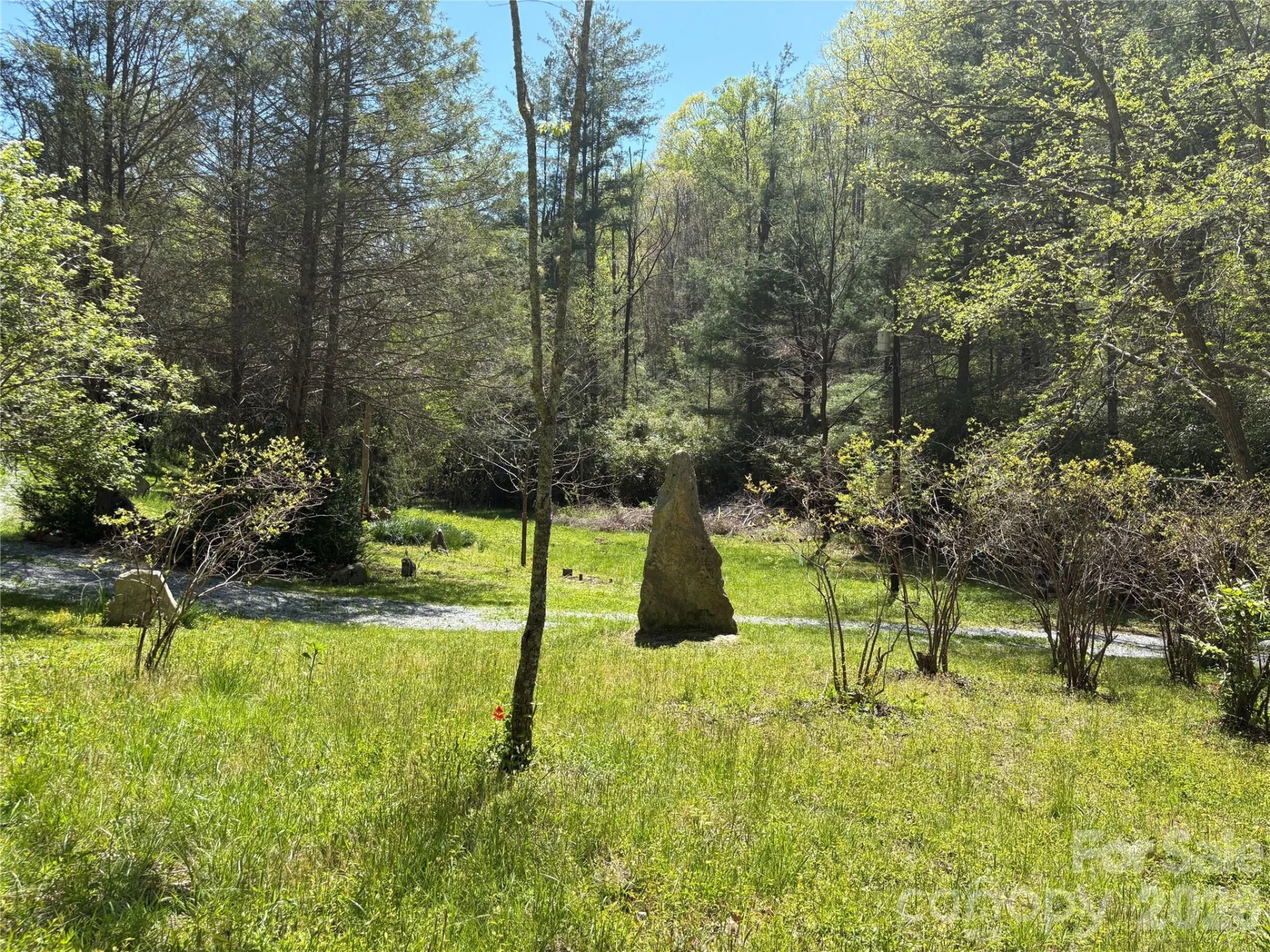 276 Cedar Creek Road - Photo 2