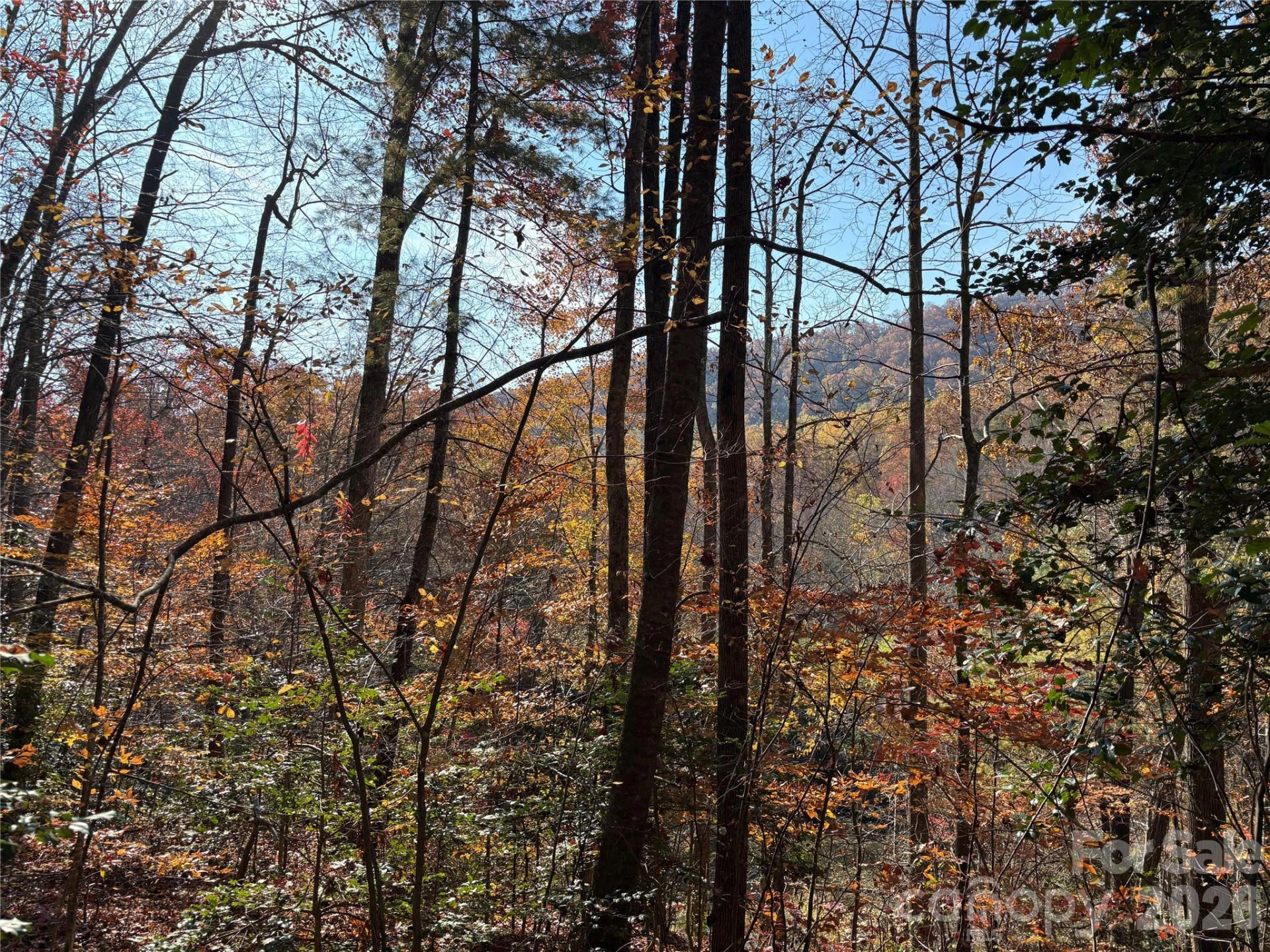 276 Cedar Creek Road - Photo 16