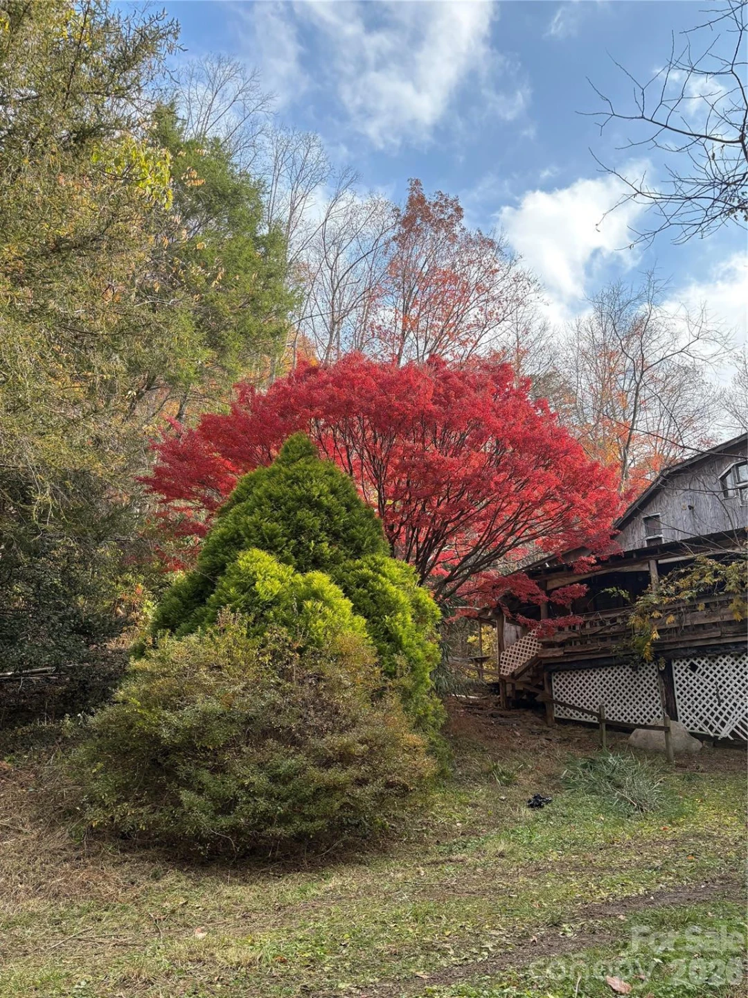 276 Cedar Creek Road - Photo 17