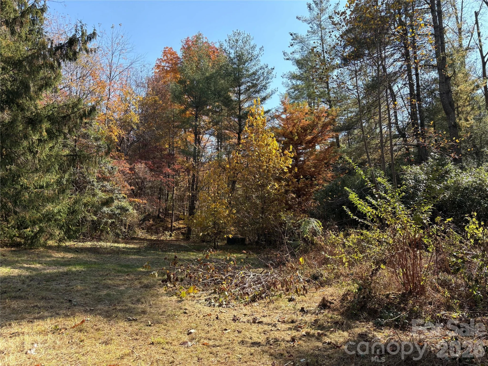 276 Cedar Creek Road - Photo 8