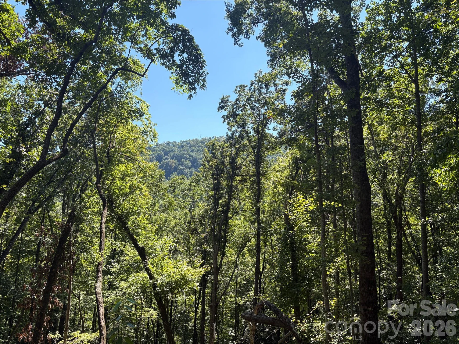 276 Cedar Creek Road - Photo 4