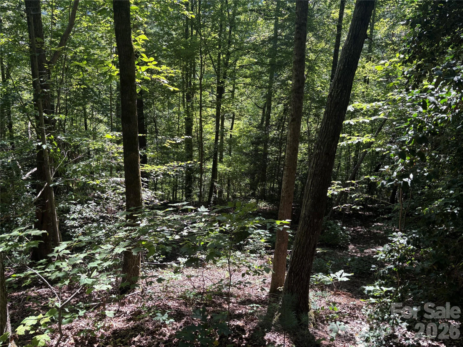 276 Cedar Creek Road - Photo 27