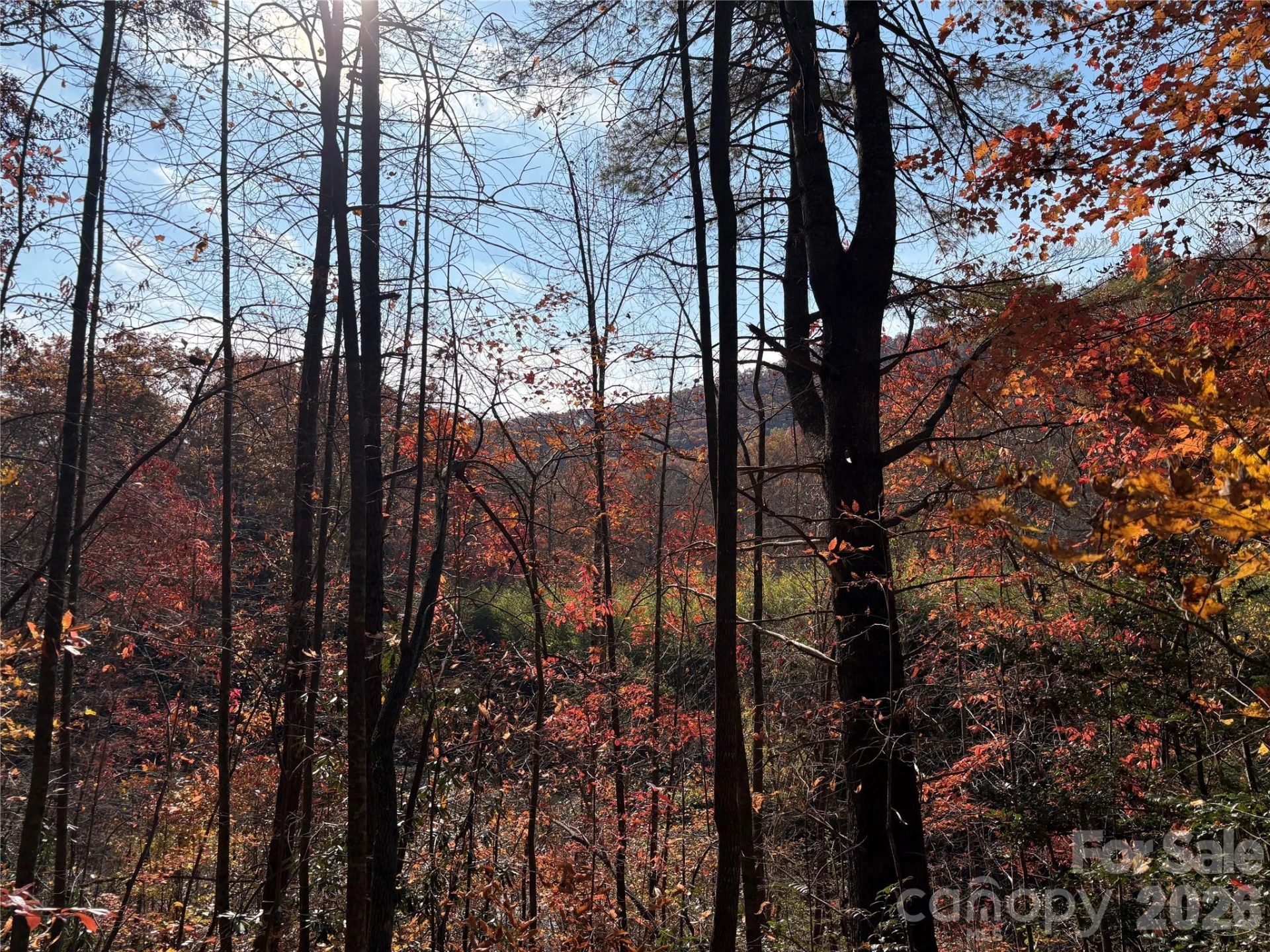 276 Cedar Creek Road - Photo 11