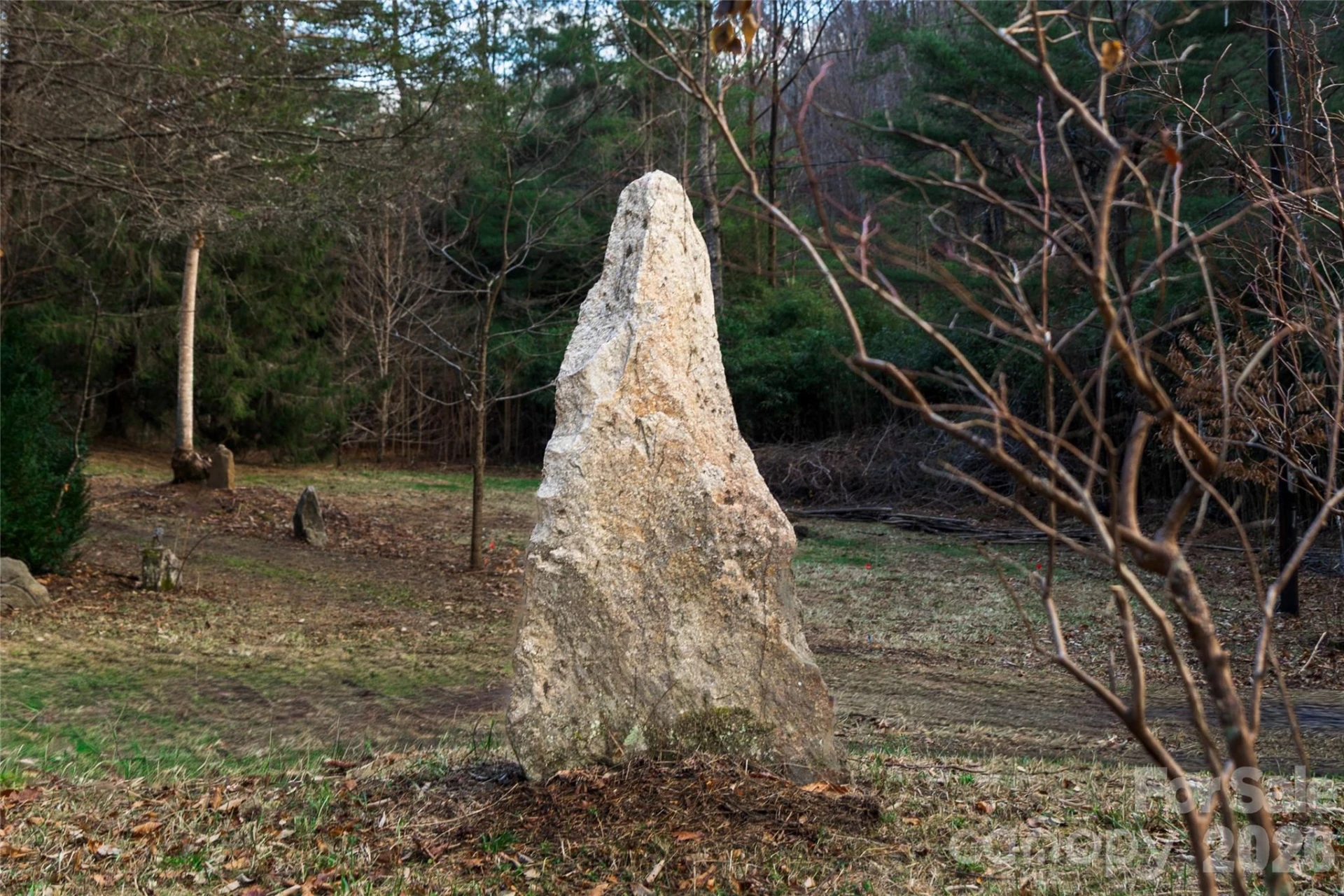 276 Cedar Creek Road - Photo 12