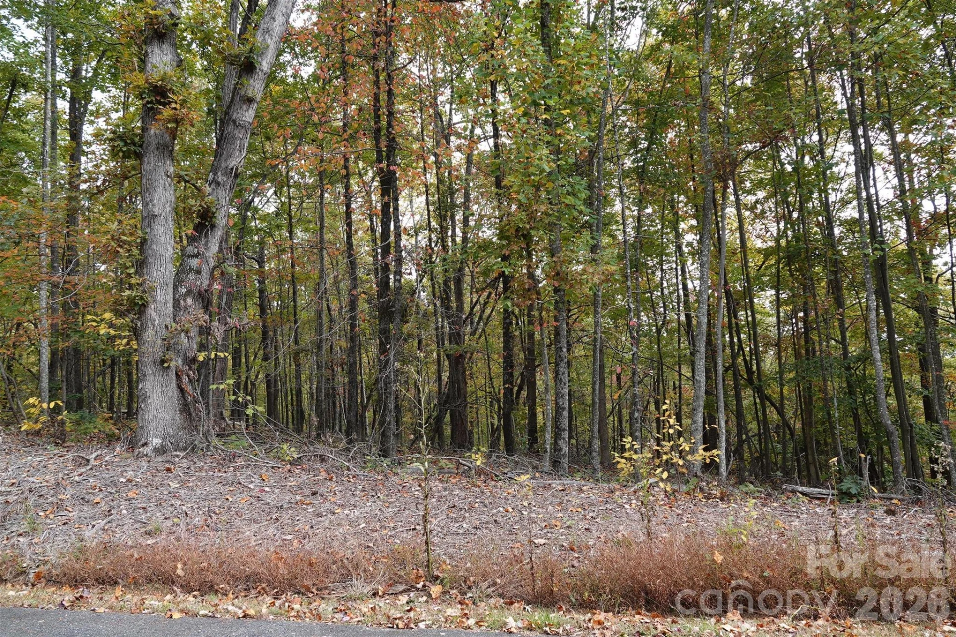 100 Sunset Drive - Photo 7