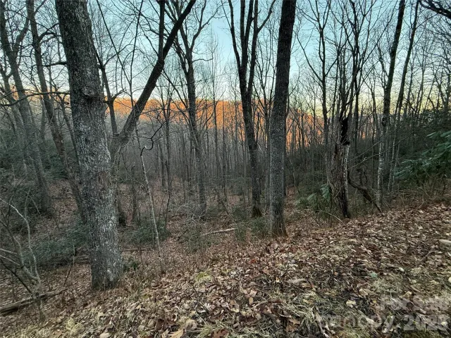 Lot 32 Bear Hollow Road