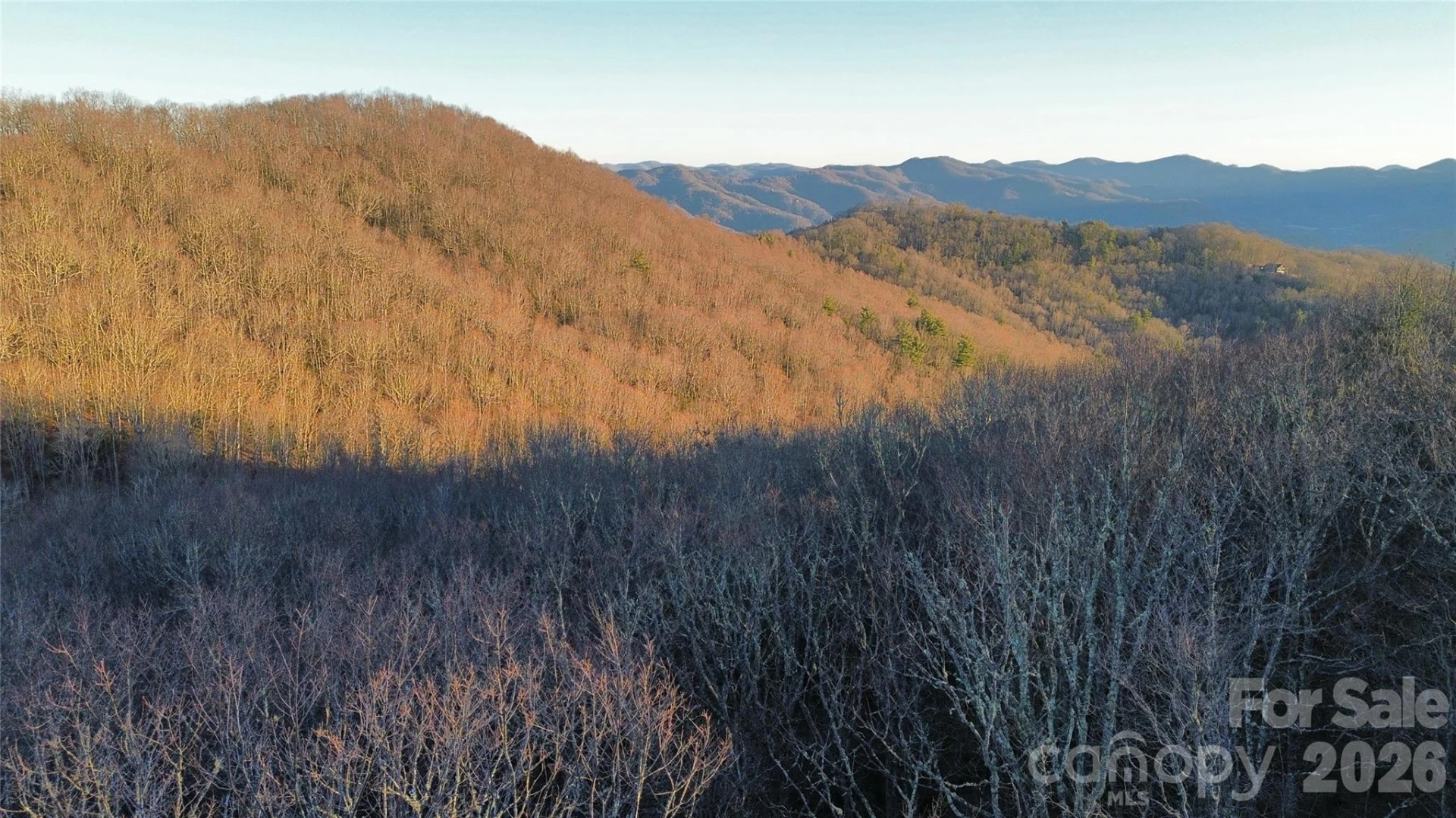 Lot 32 Bear Hollow Road #32 - Photo 4