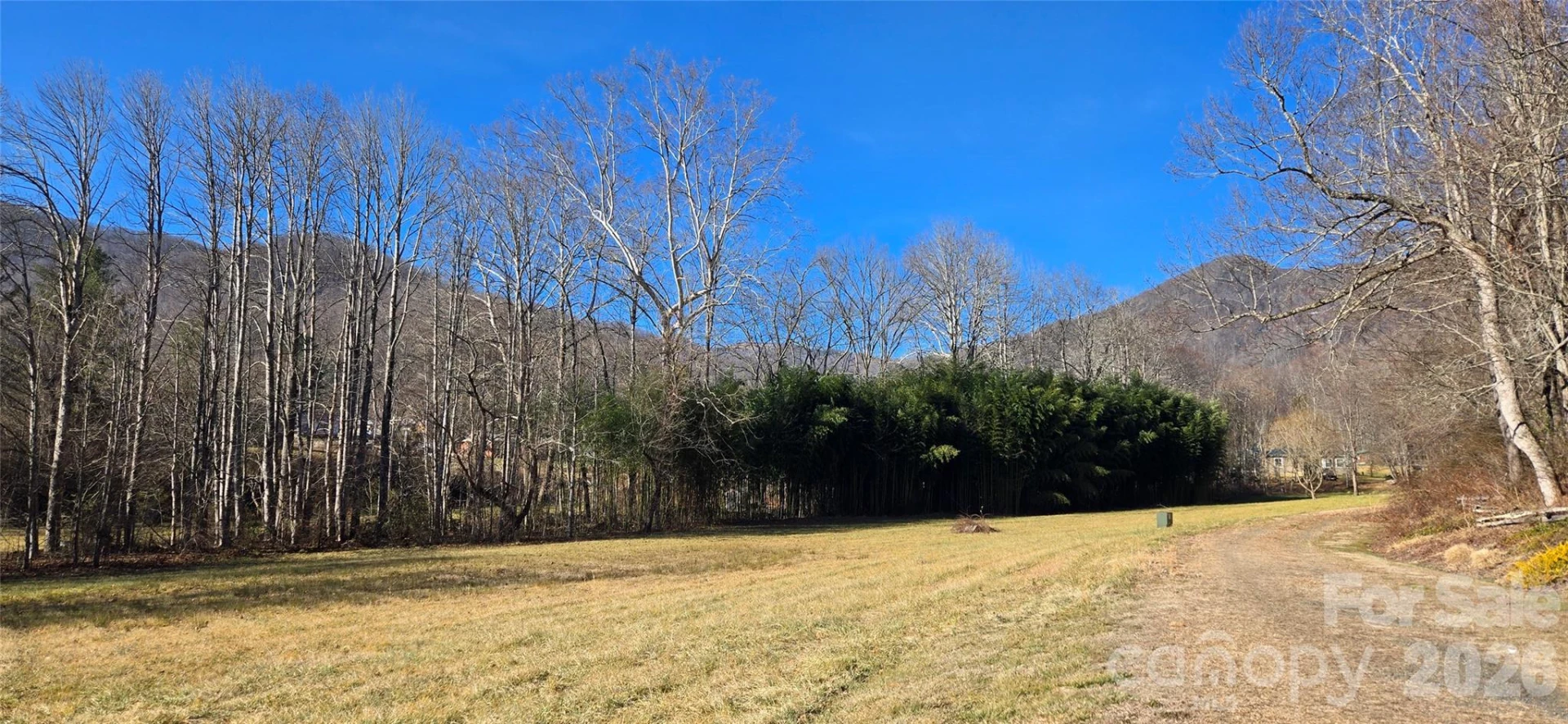 Lot 3 Turtle Rock Lane - Photo 14