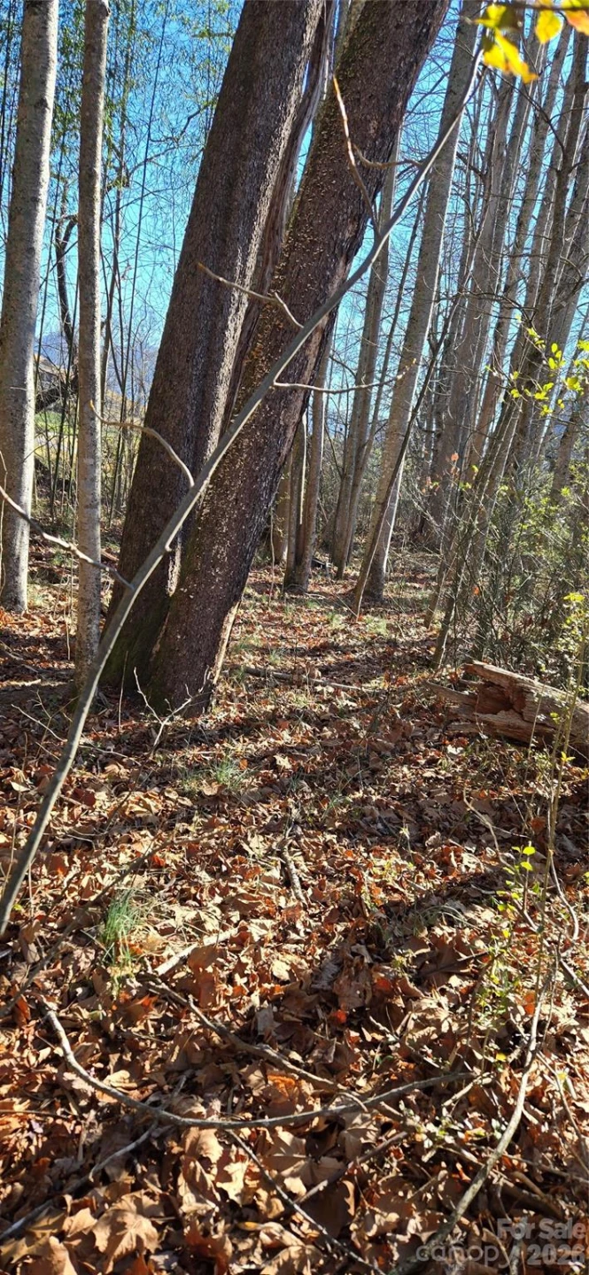 Lot 3 Turtle Rock Lane - Photo 17