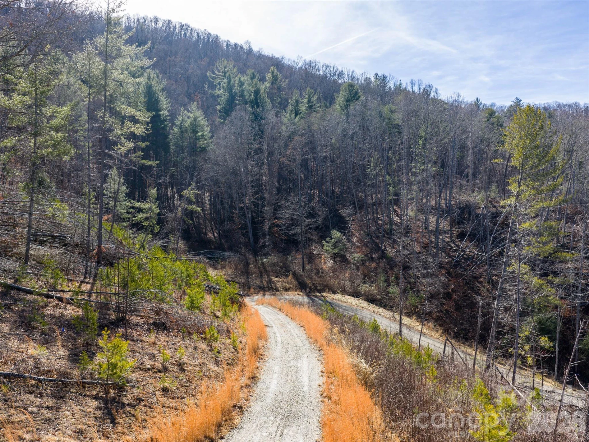 68 Old Stewart Road - Photo 11