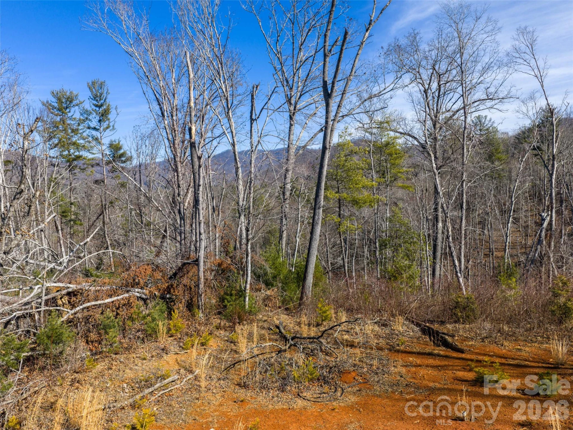 68 Old Stewart Road - Photo 13