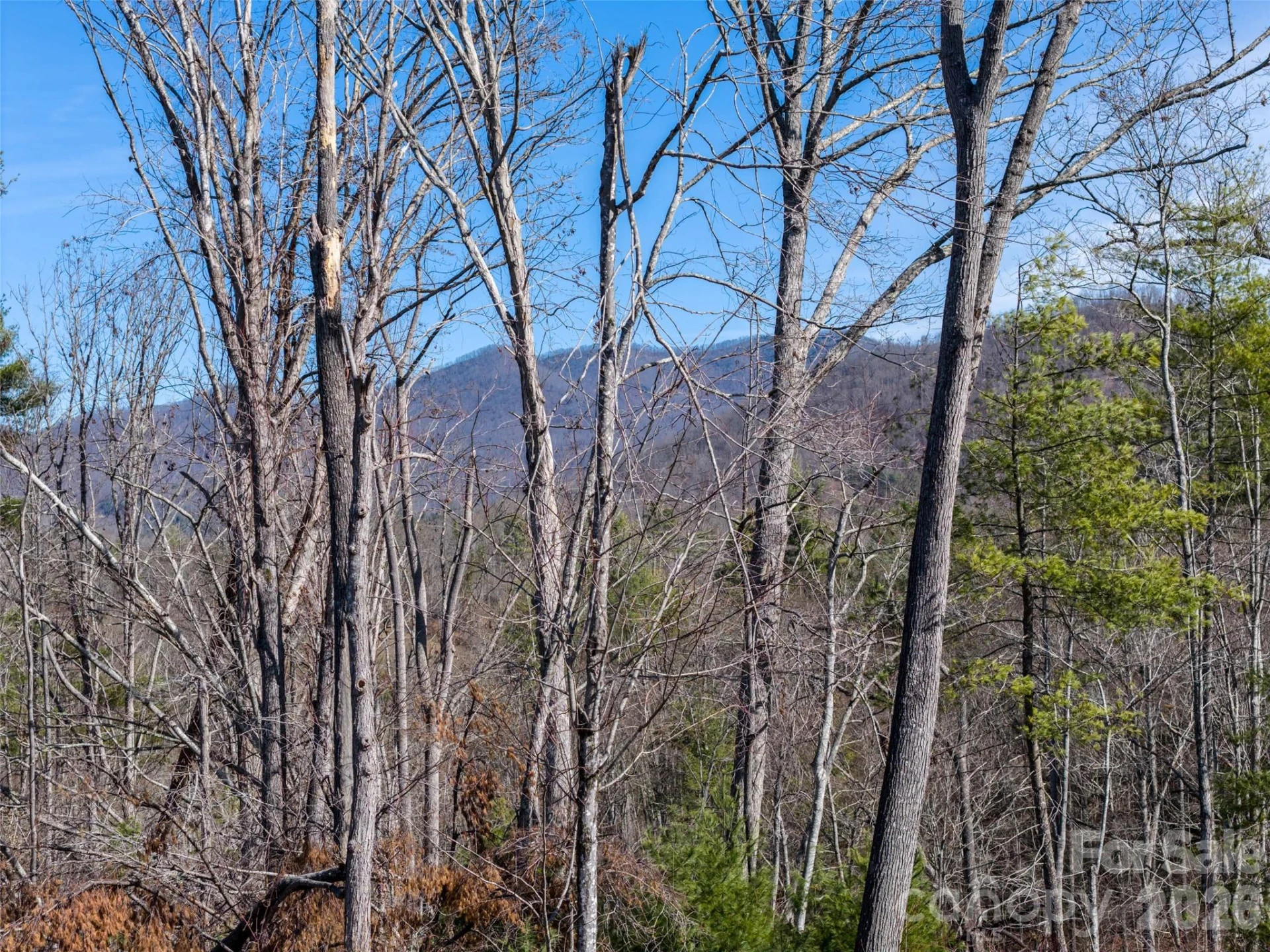 68 Old Stewart Road - Photo 14