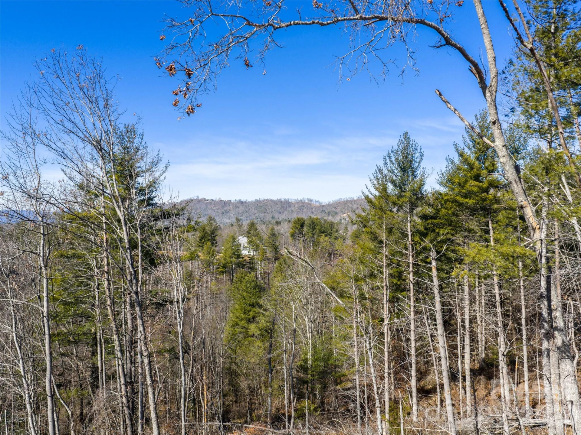 68 Old Stewart Road - Photo 15