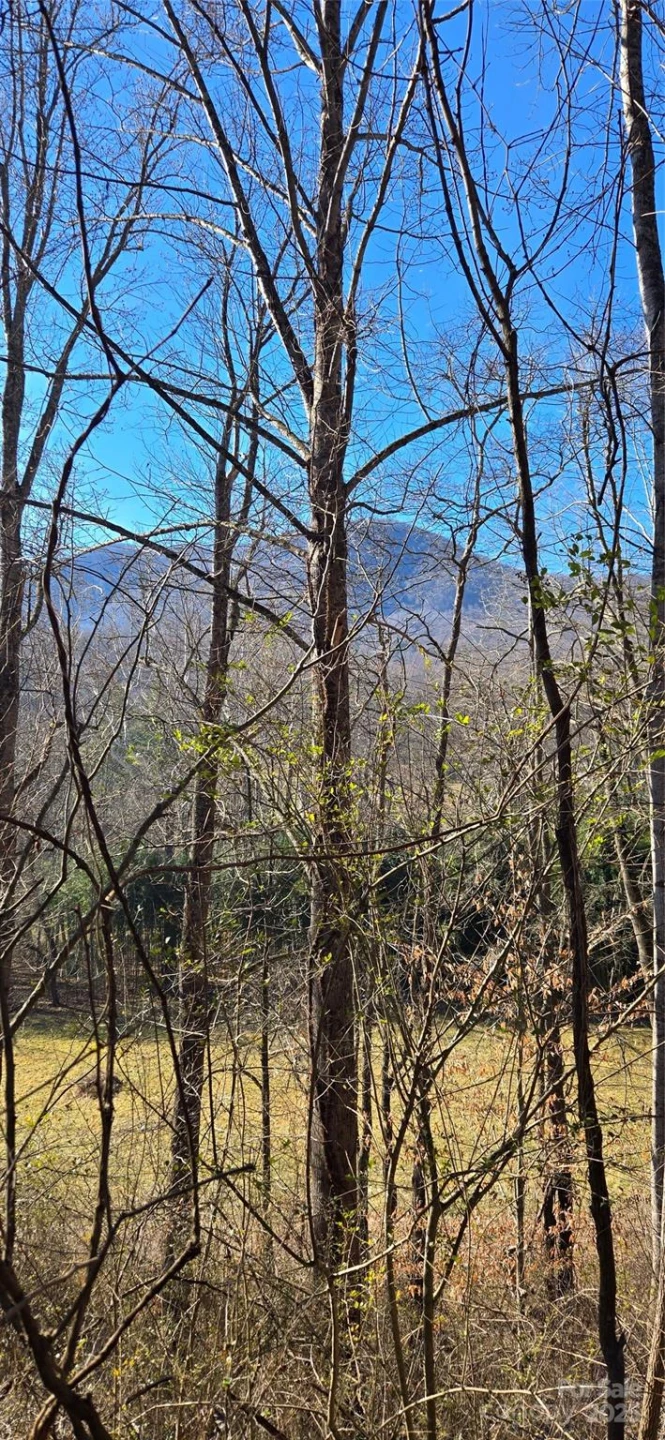 Lot 1 Turtle Rock Lane - Photo 11