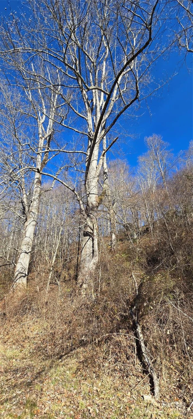 Lot 1 Turtle Rock Lane - Photo 14