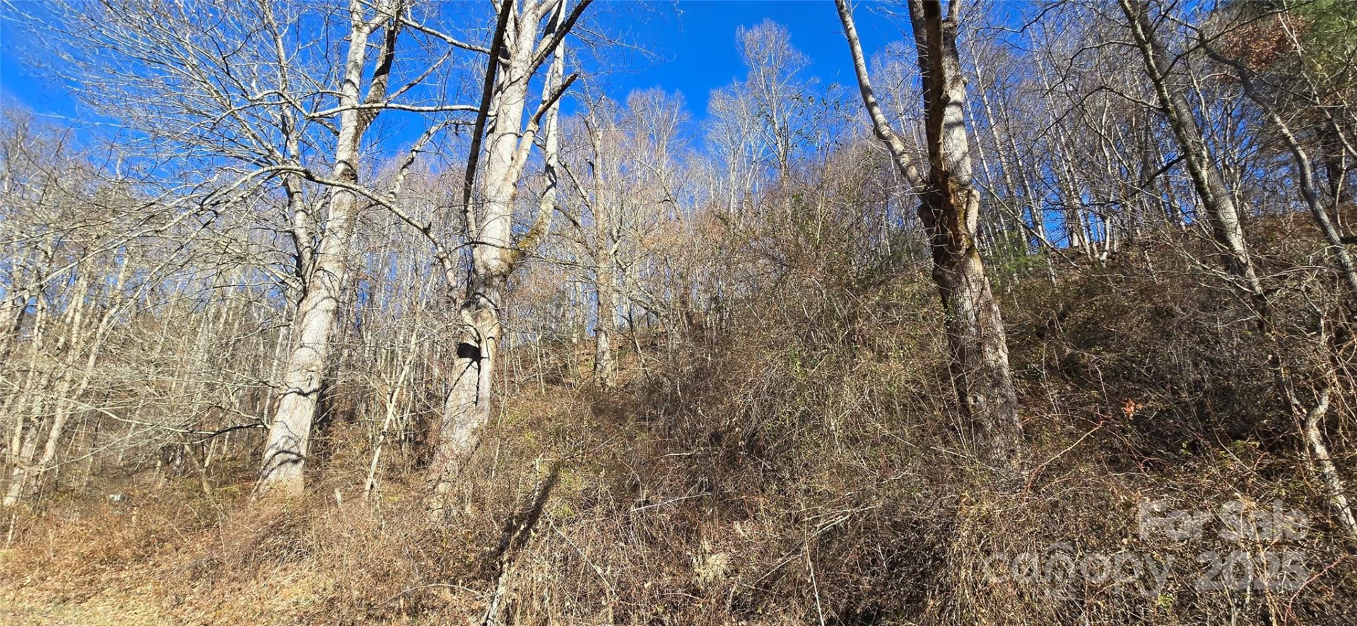 Lot 1 Turtle Rock Lane - Photo 15