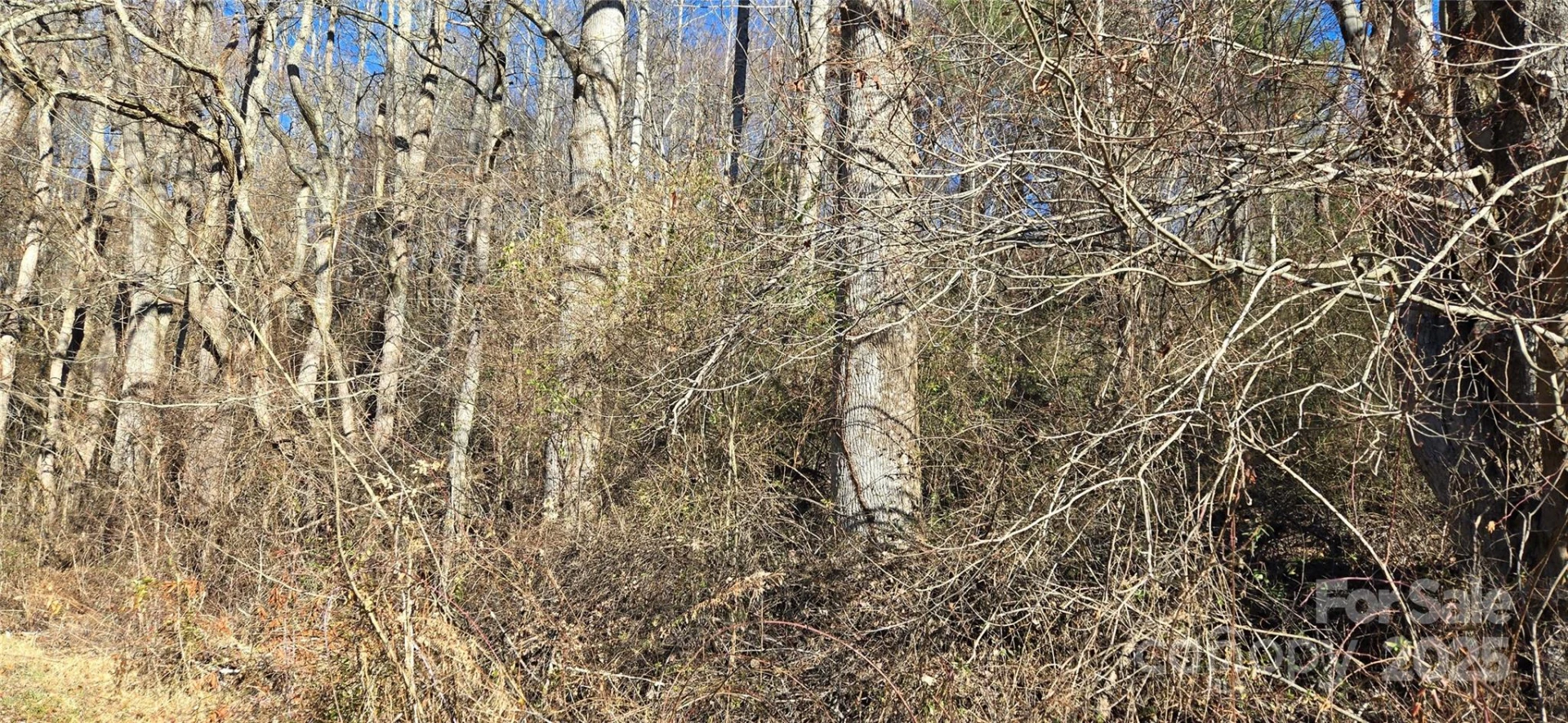 Lot 1 Turtle Rock Lane - Photo 17