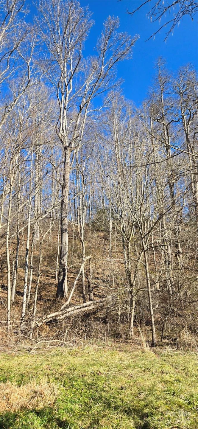 Lot 1 Turtle Rock Lane - Photo 20