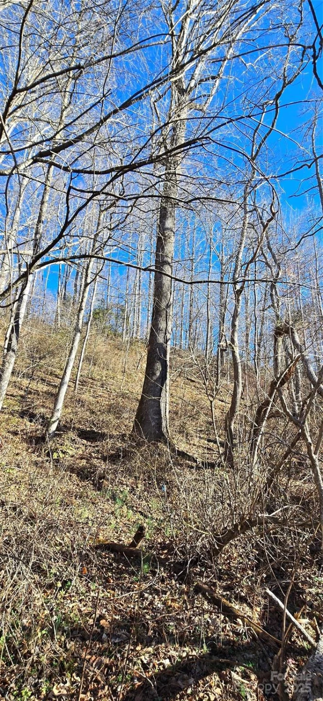 Lot 1 Turtle Rock Lane - Photo 21