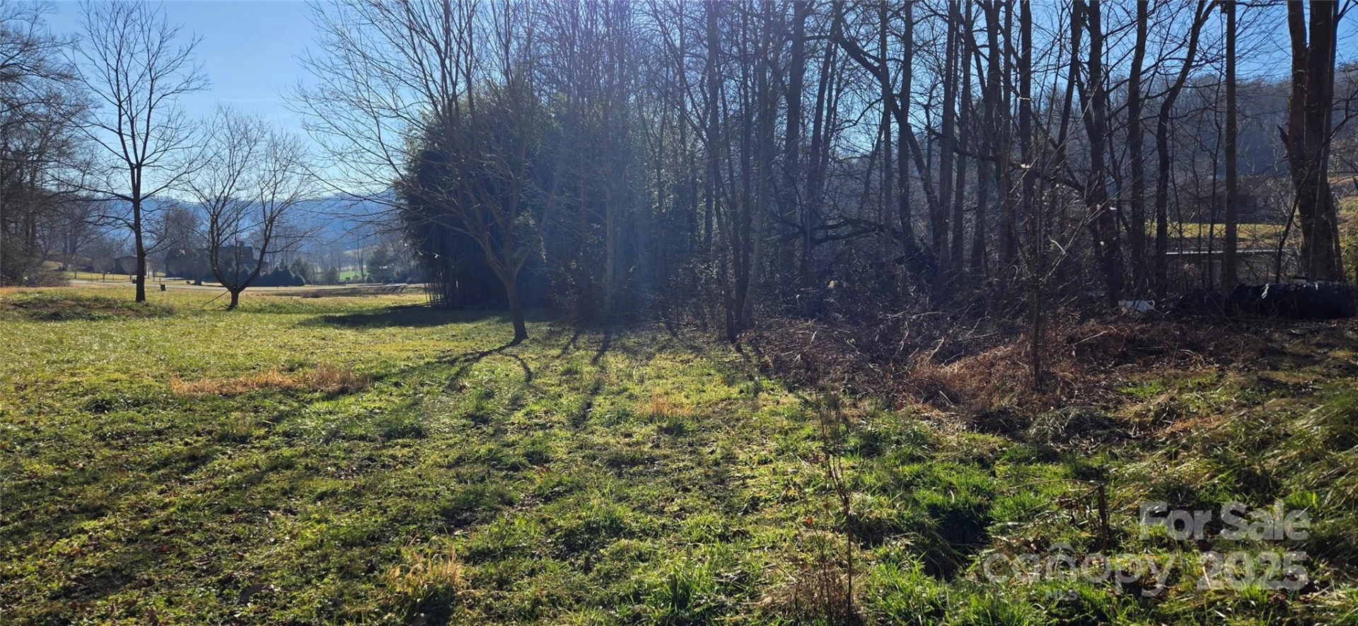 Lot 1 Turtle Rock Lane - Photo 6