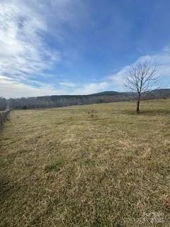 2417 Salem Church Road - Photo 2