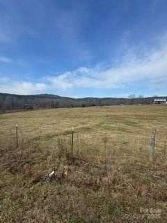 2417 Salem Church Road - Photo 4