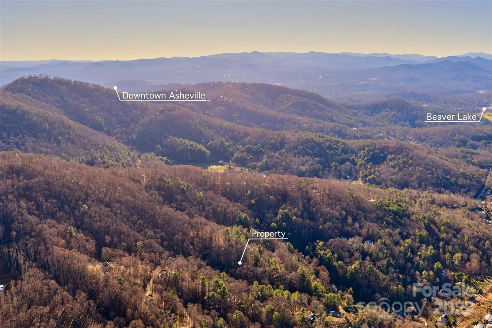 15 Beech Tree Lane - Photo 14