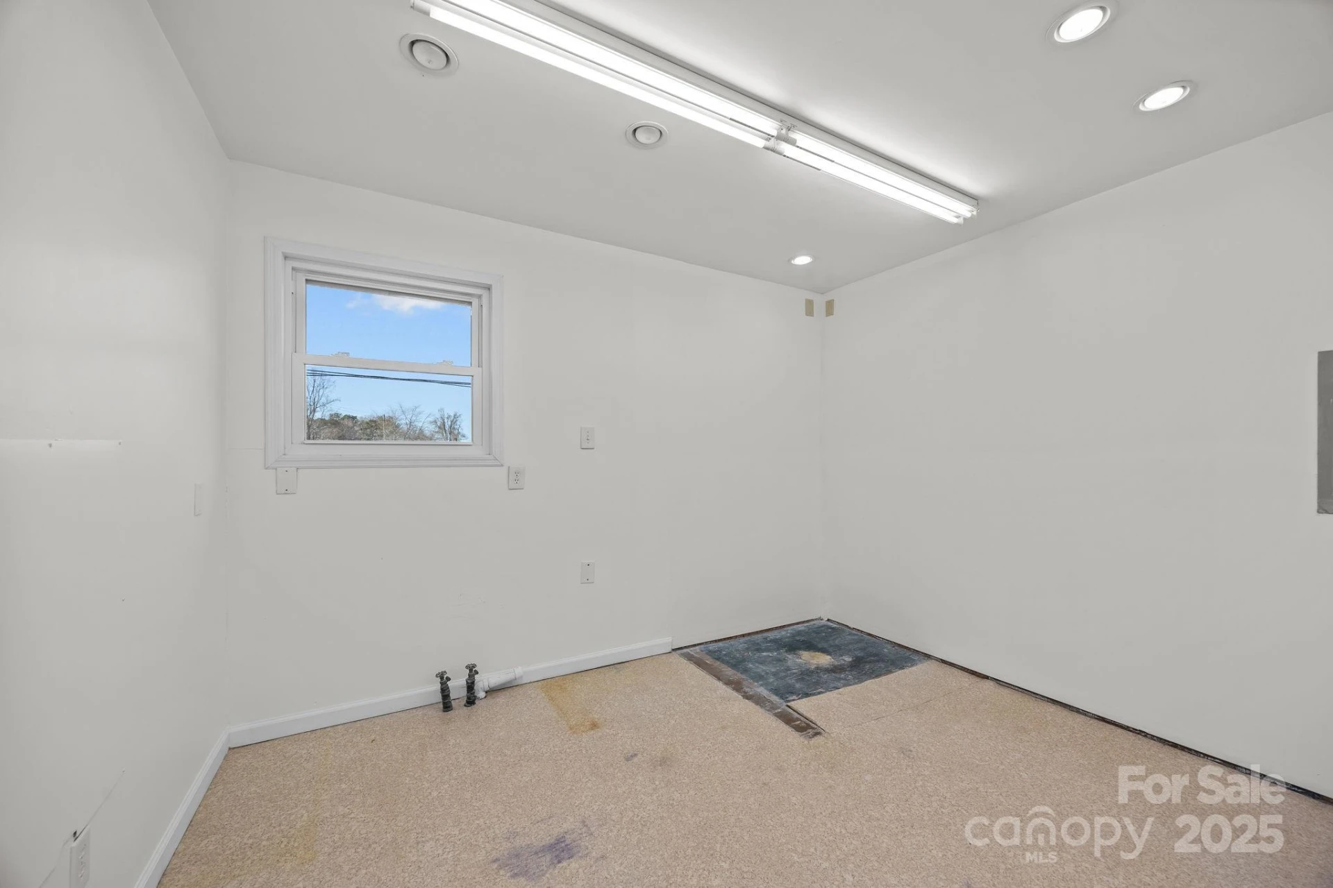 701 Dana Road - Photo 23