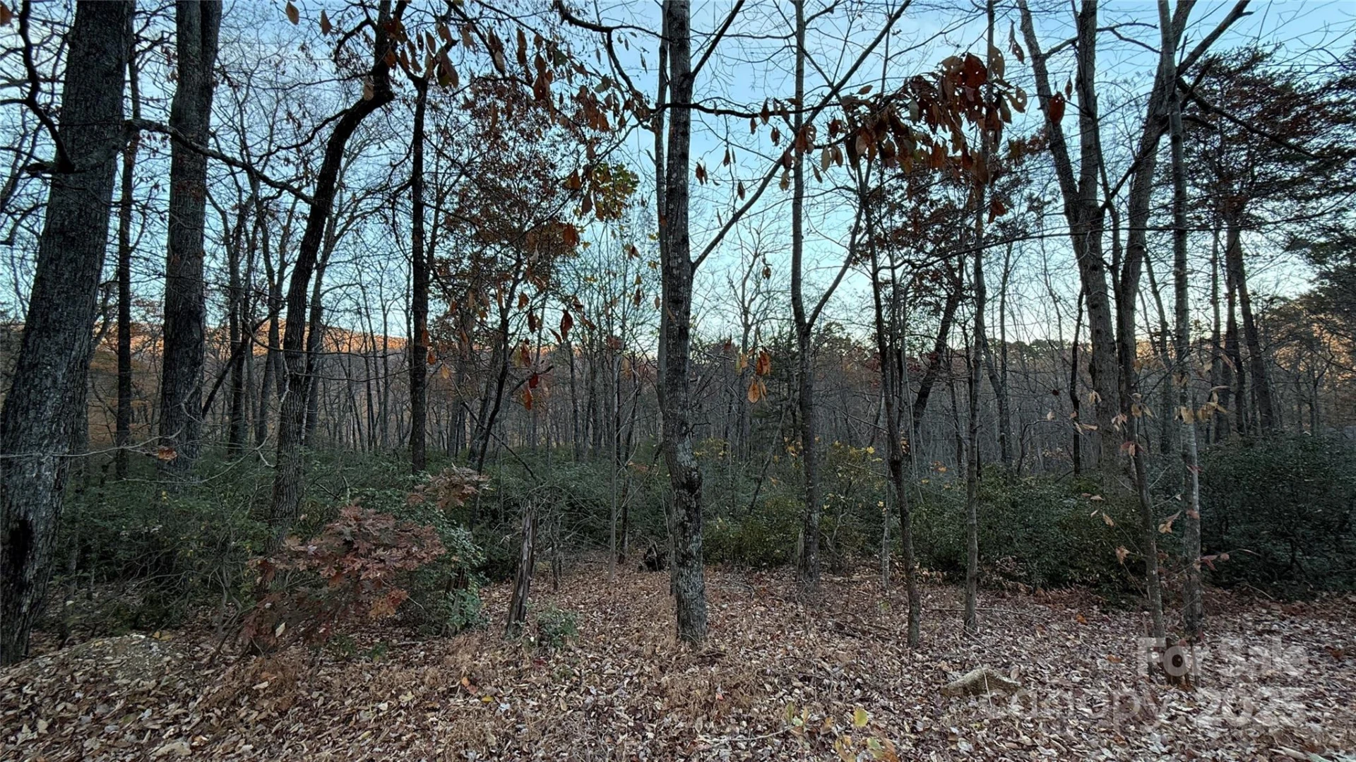 0 Quail Ridge Road - Photo 14