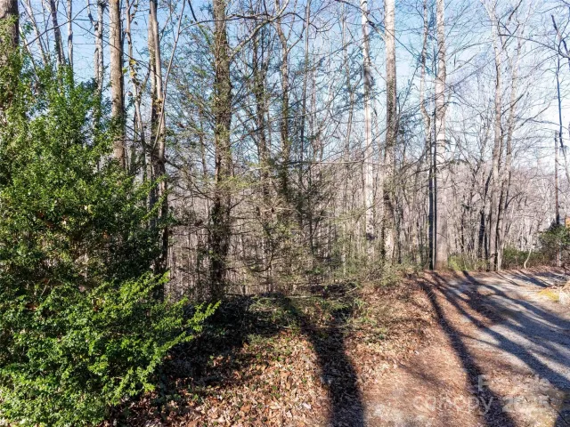00 Mountain Page Road, Saluda, NC, 28773