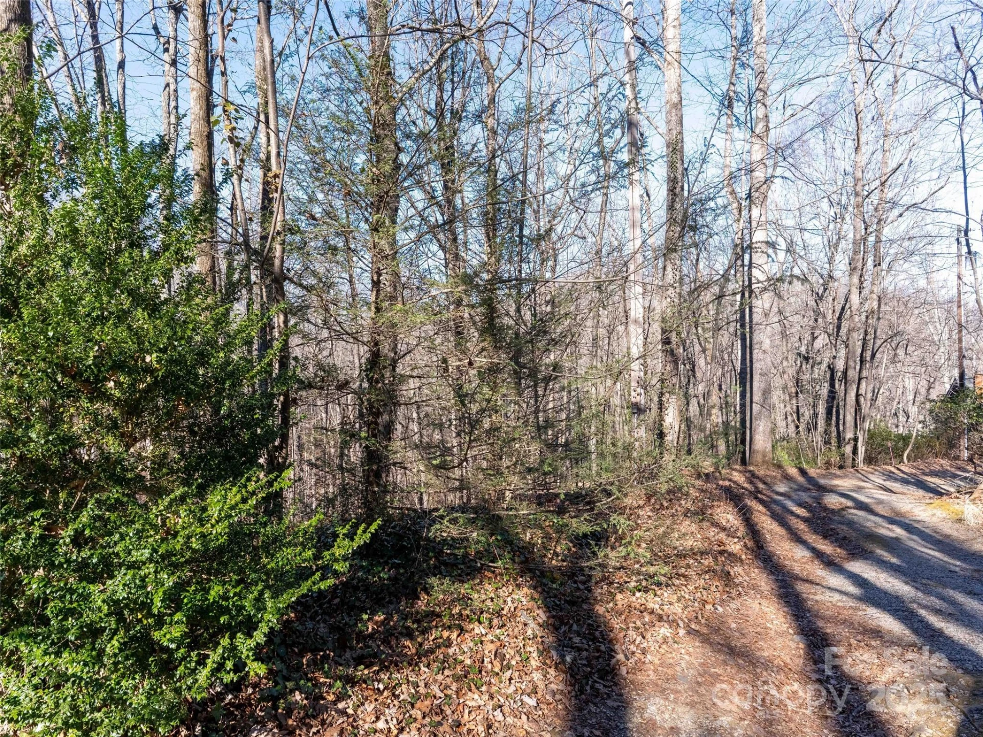 00 Mountain Page Road #17,18,19
