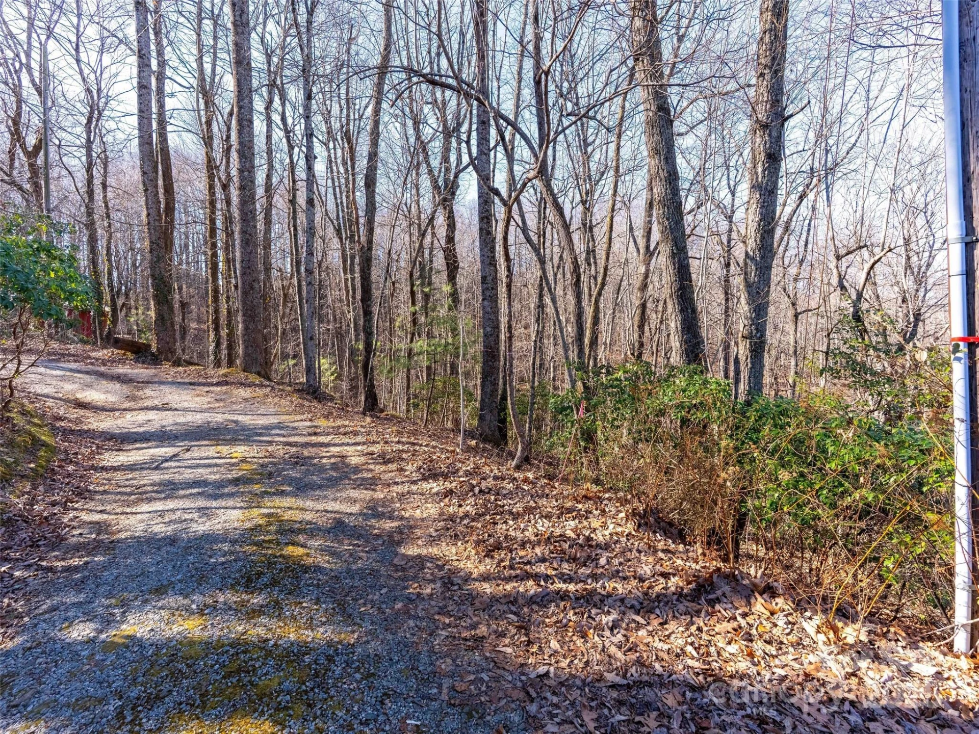00 Mountain Page Road #17,18,19 - Photo 2