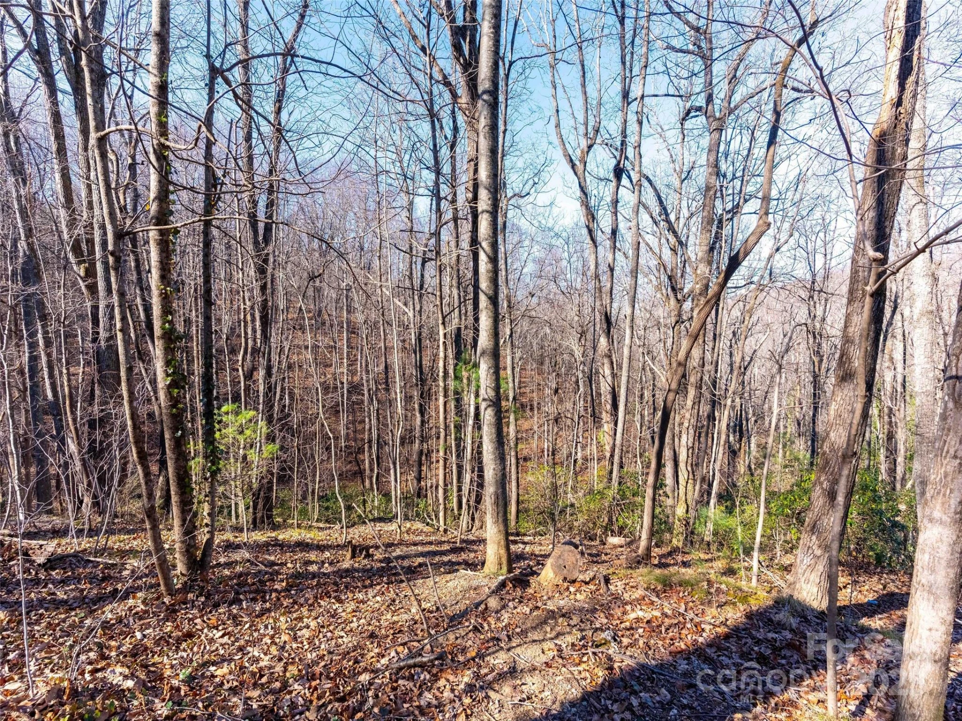 00 Mountain Page Road #17,18,19 - Photo 11