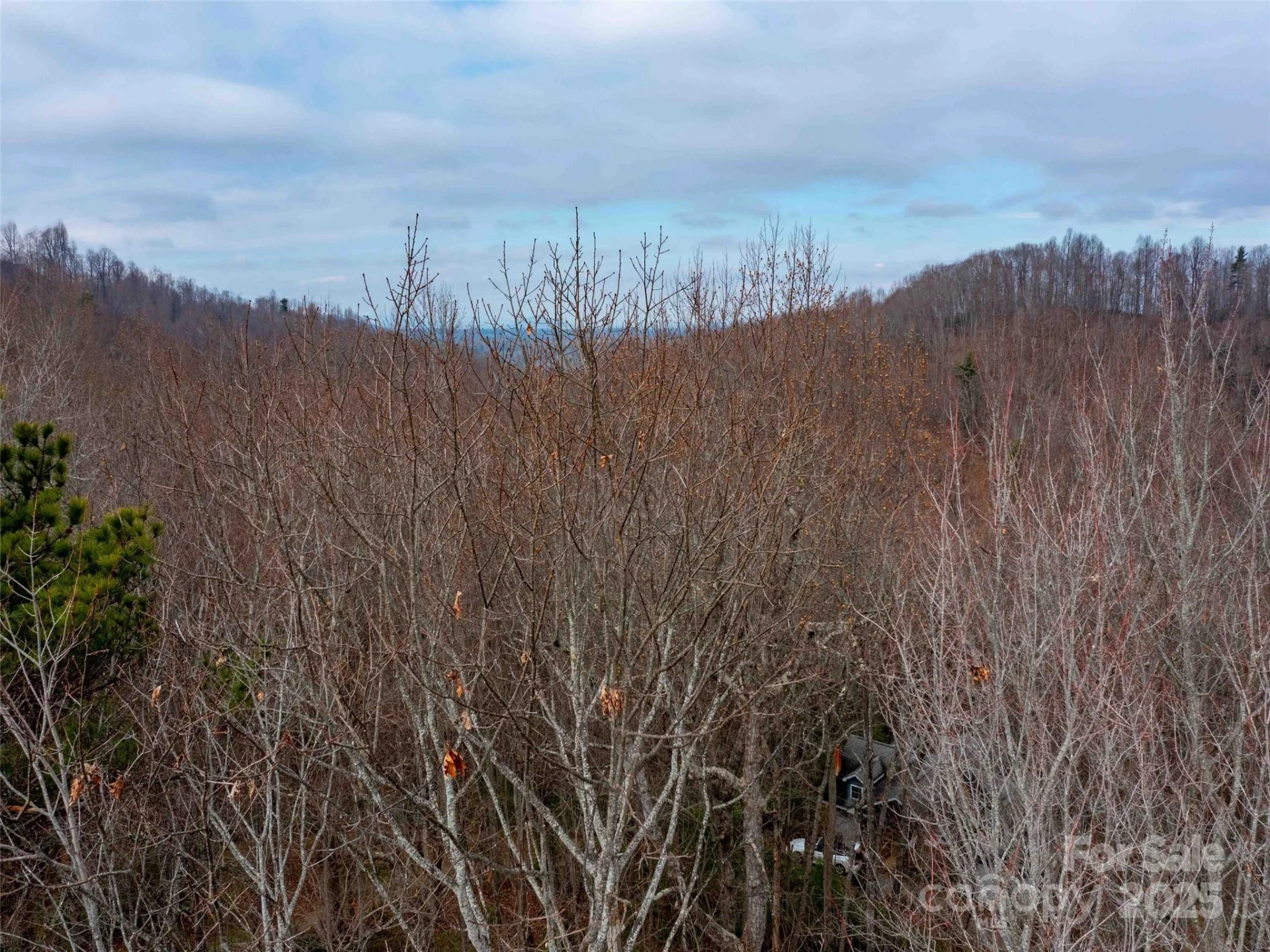00 Mountain Page Road #17,18,19 - Photo 27