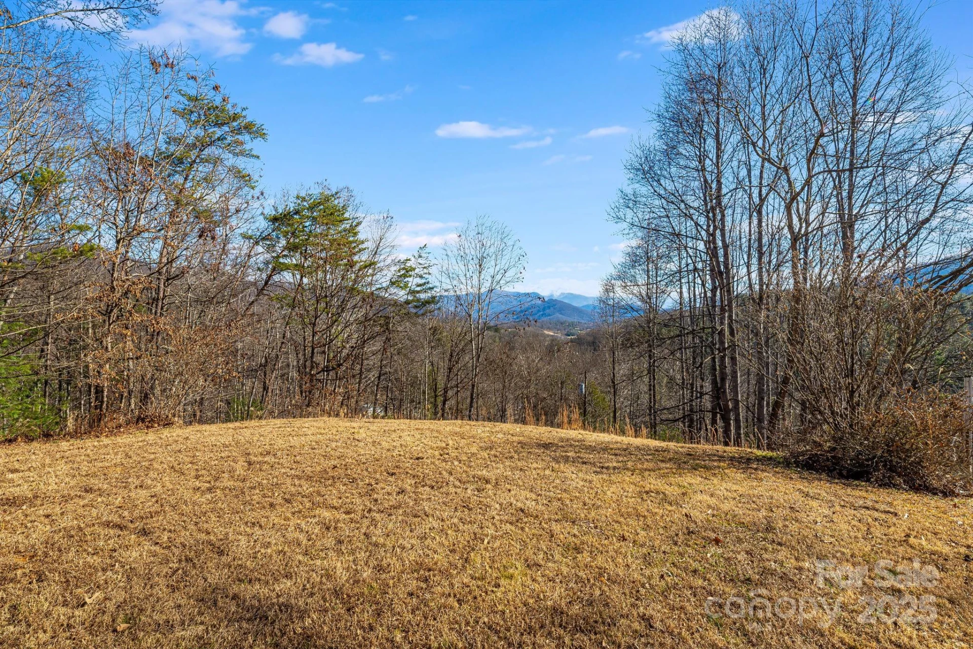 15 Cyrus Lane - Photo 28