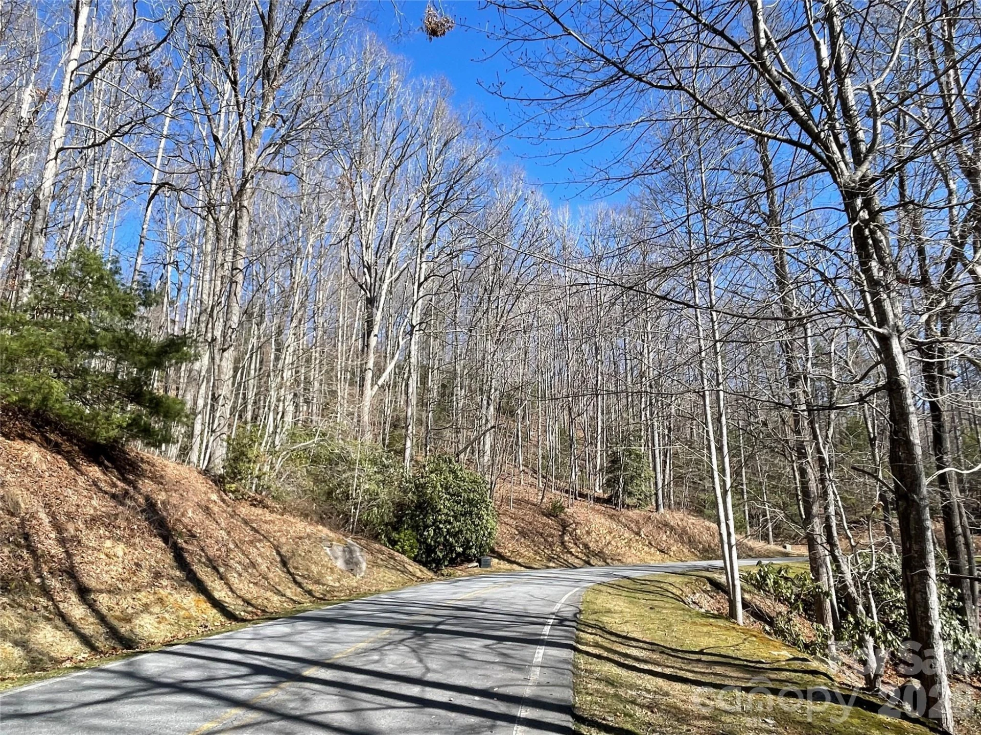 00 Chattooga Run #292R - Photo 3