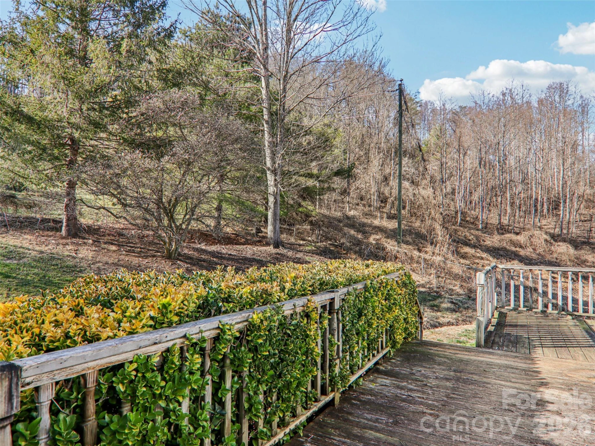 7 Landon Mountain Lane - Photo 33