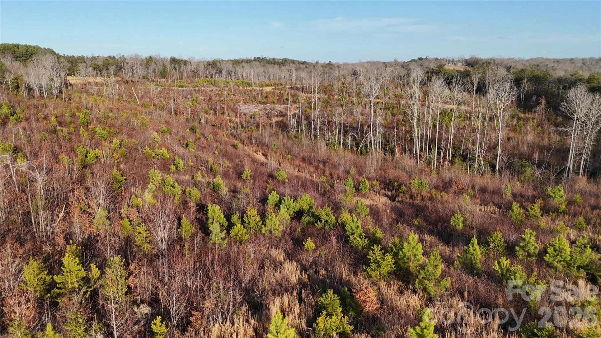 0 Brady Hampton Drive - Photo 12