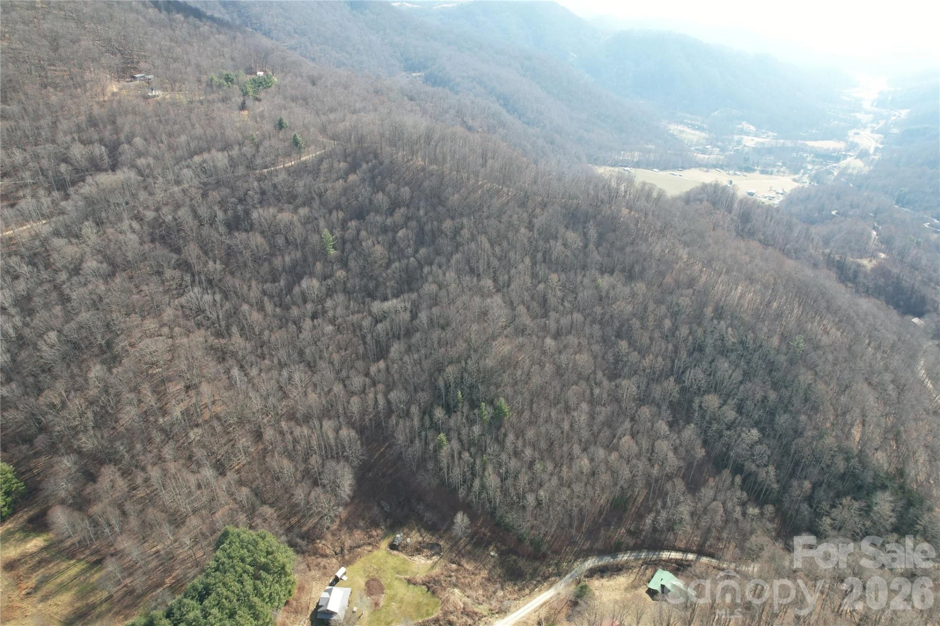 00 Mule Stomp Road - Photo 2