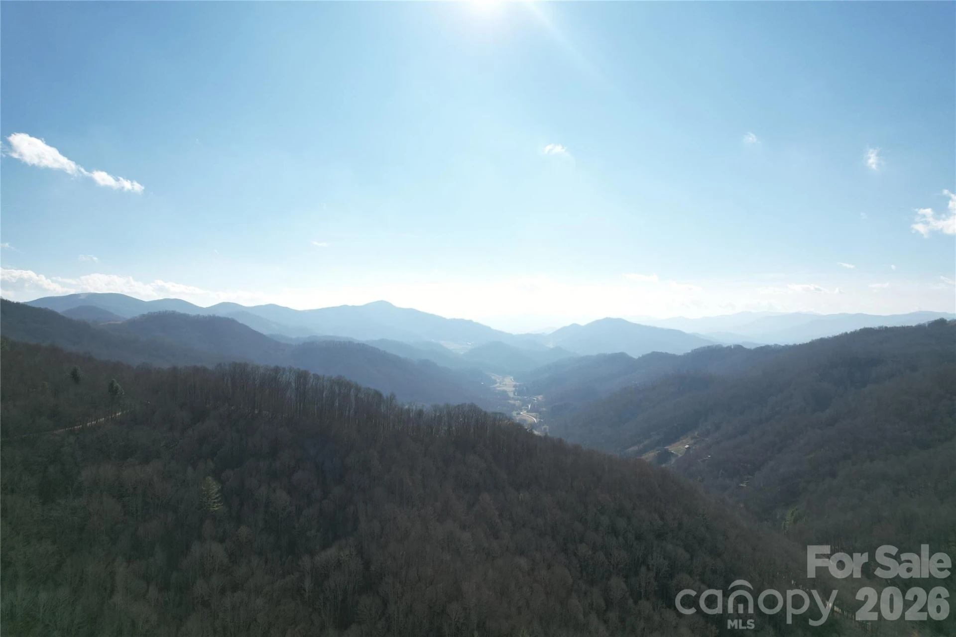 00 Mule Stomp Road - Photo 8