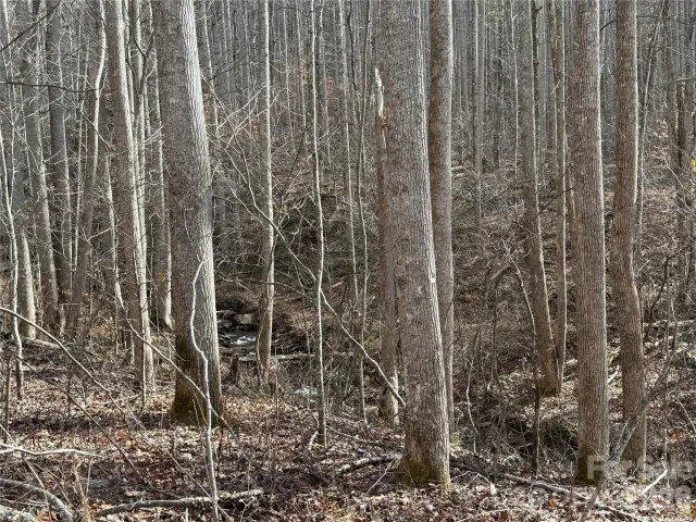 00000 Martins Creek Road